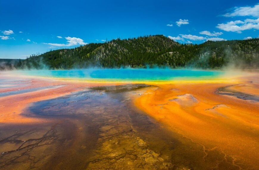 Yellowstone Day Tours: If You Have…